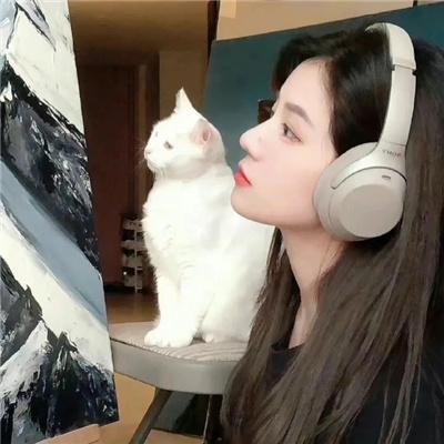 撕裂：重混宣言